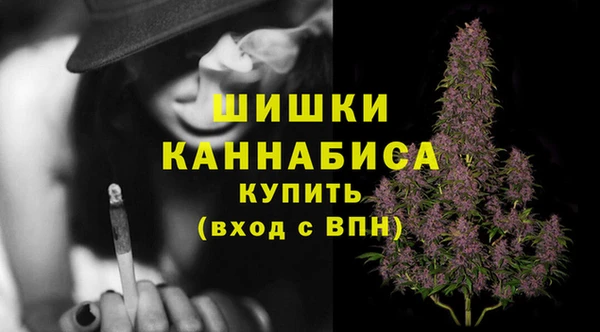 ГАЛЛЮЦИНОГЕННЫЕ ГРИБЫ Бронницы