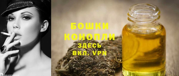 прущая мука Бородино