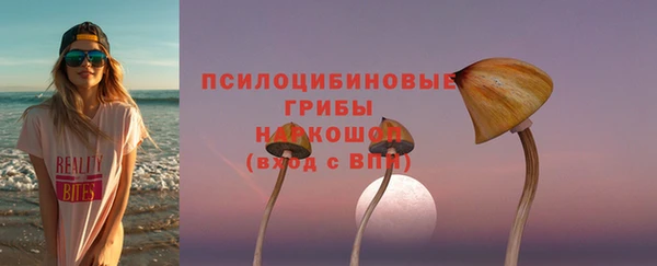 прущая мука Бородино