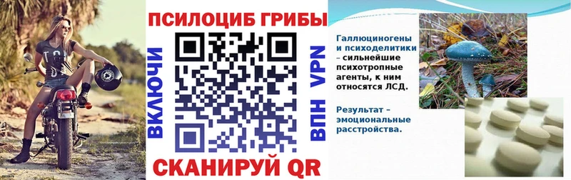 MEGA зеркало  даркнет сайт  Катайск  Галлюциногенные грибы ЛСД 